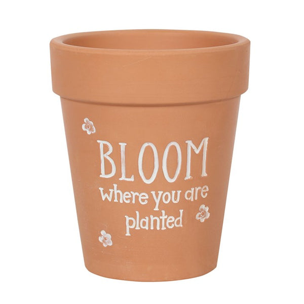 Terracotta plant pot with ‘Bloom Where You Are Planted’ text and floral details – Panache Homeware Garden & Outdoor Collection, inspirational plant pot, rustic garden decor, perfect gift for gardeners.