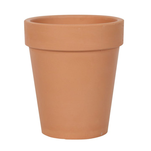 Terracotta plant pot with ‘Bloom Where You Are Planted’ text and floral details – Panache Homeware Garden & Outdoor Collection, inspirational plant pot, rustic garden decor, perfect gift for gardeners.