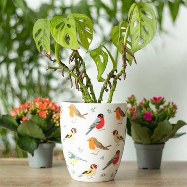 British Garden Birds ceramic plant pot with Blue Tit, Robin, Goldfinch and Bullfinch design – Panache Homeware Garden & Outdoor Collection, bird-themed plant pot, nature-inspired home decor, perfect gift for gardeners and bird lovers.