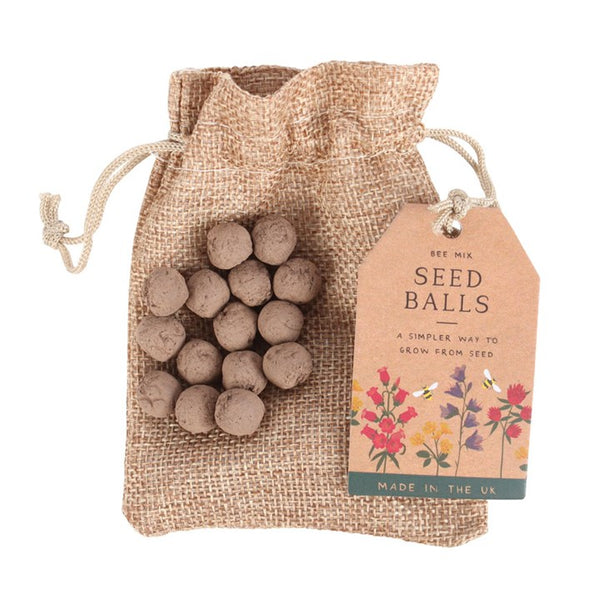 24 garden seed balls in a bag – Panache Homeware eco-friendly gardening gift set, wildflower seed mix, grow-your-own garden accessory, perfect gift for gardeners.