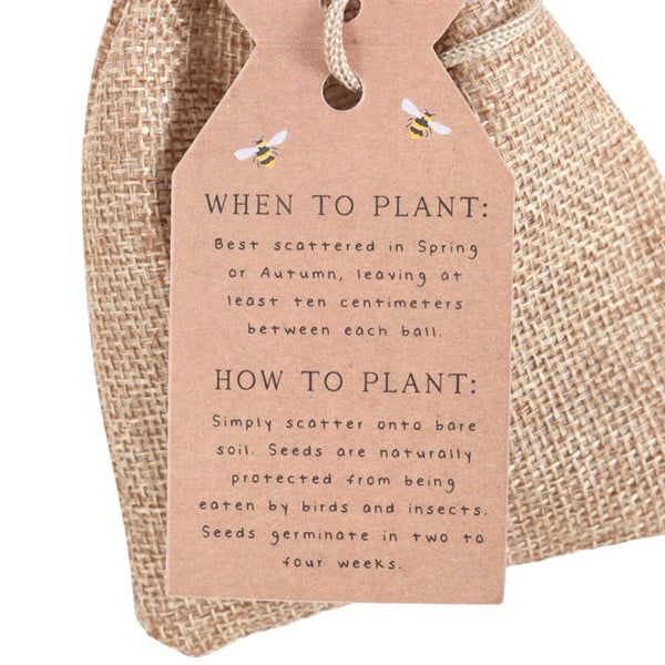24 garden seed balls in a bag – Panache Homeware eco-friendly gardening gift set, wildflower seed mix, grow-your-own garden accessory, perfect gift for gardeners.