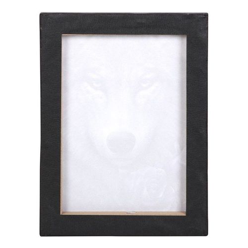 Wolf and roses canvas wall plaque 19x25cm by Spiral Direct – Panache Homeware Kitchen Collection, mystical gothic wall art, perfect gift.