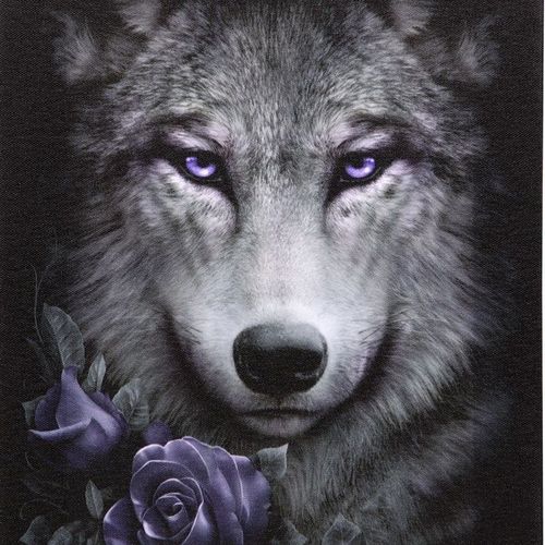 Spiral Direct Wolf Roses canvas plaque 19x25cm – Panache Homeware Kitchen Collection, dark gothic wall decor, perfect gift idea.